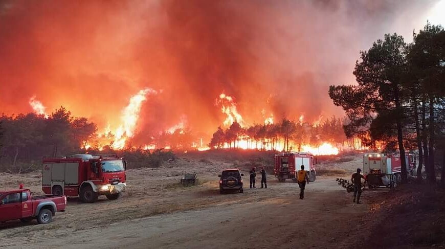 Δαδιά: Ποιο είναι το δάσος που καίγεται πάλι – Γιατί είναι σημαντική η περιοχή Natura